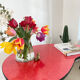 Red Formica bean coffee table