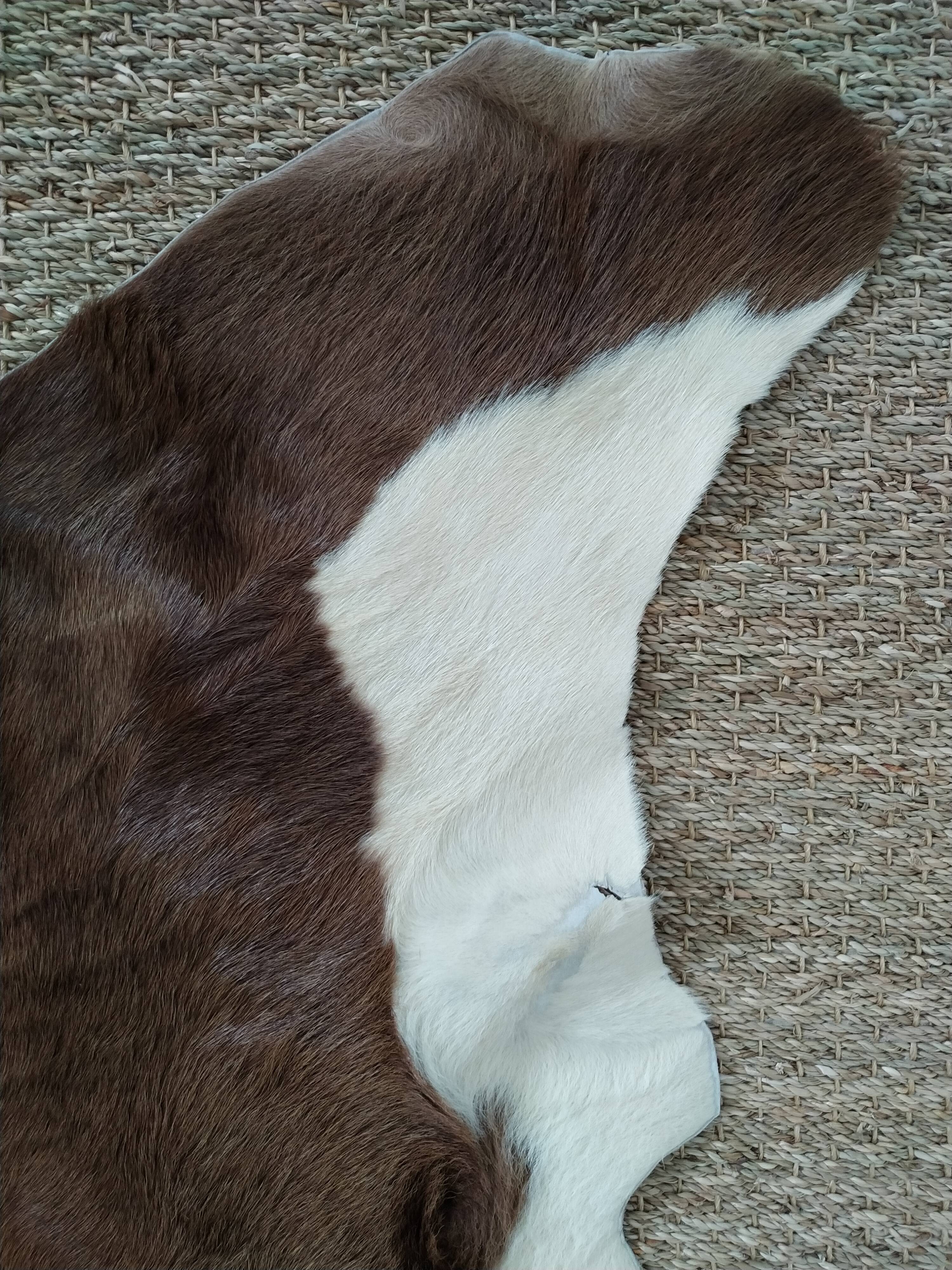 Cow skin