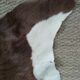 Tapis peau de vache