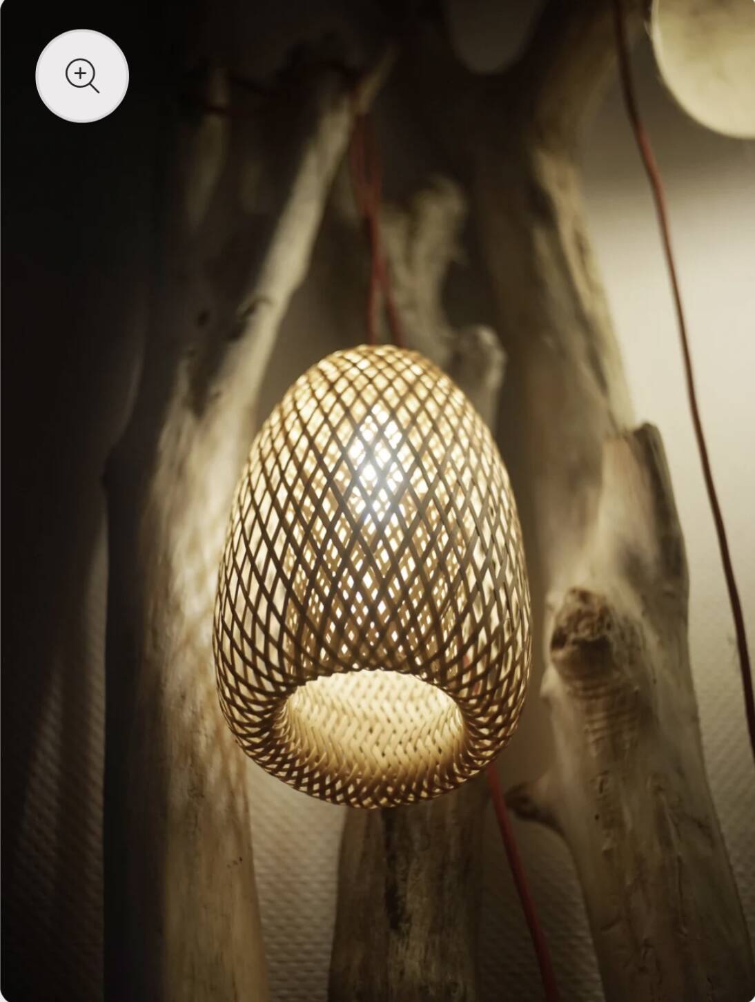 Vietnamese suspension