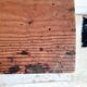 Old wooden chest