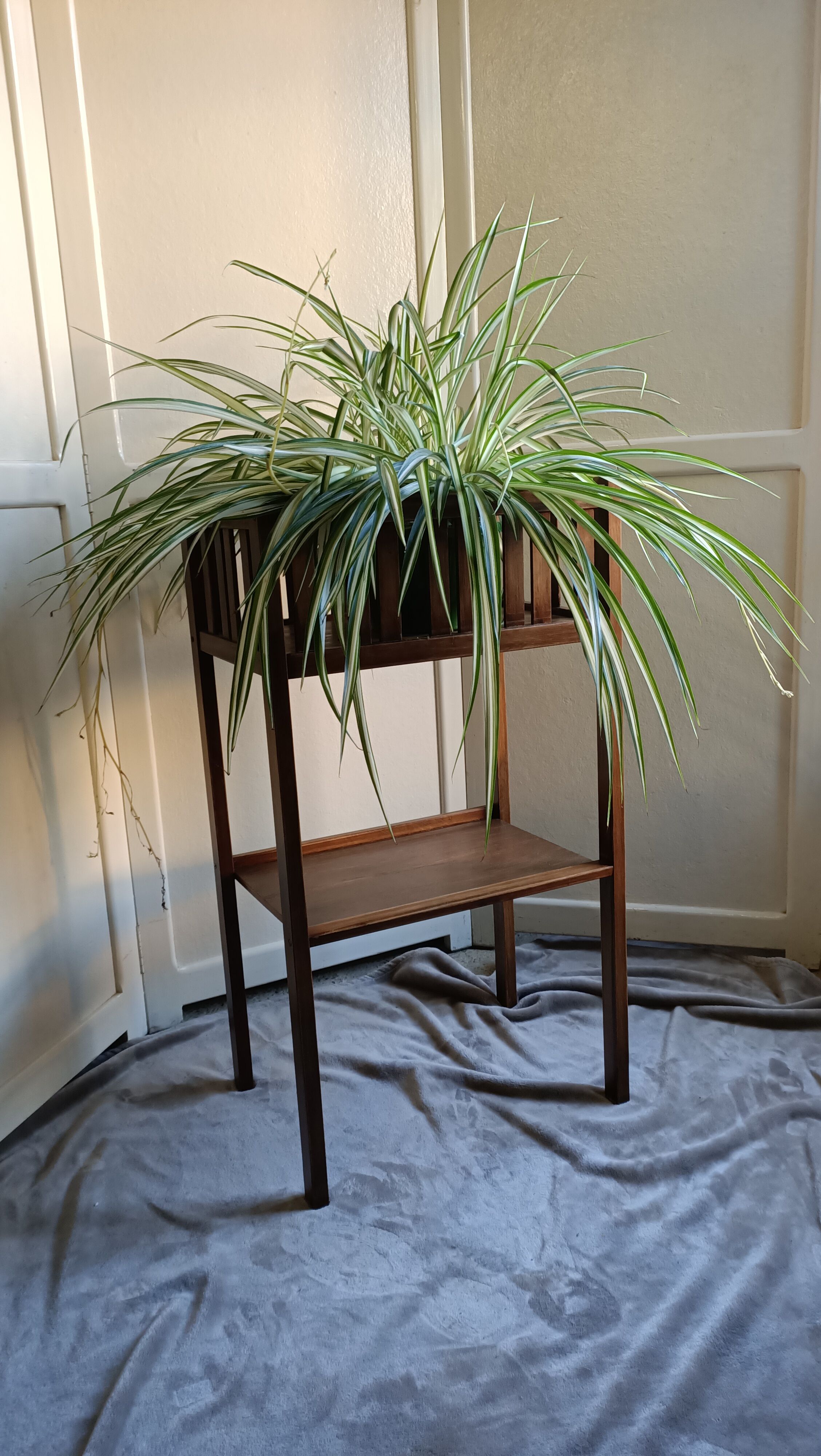 Pair of indoor planters