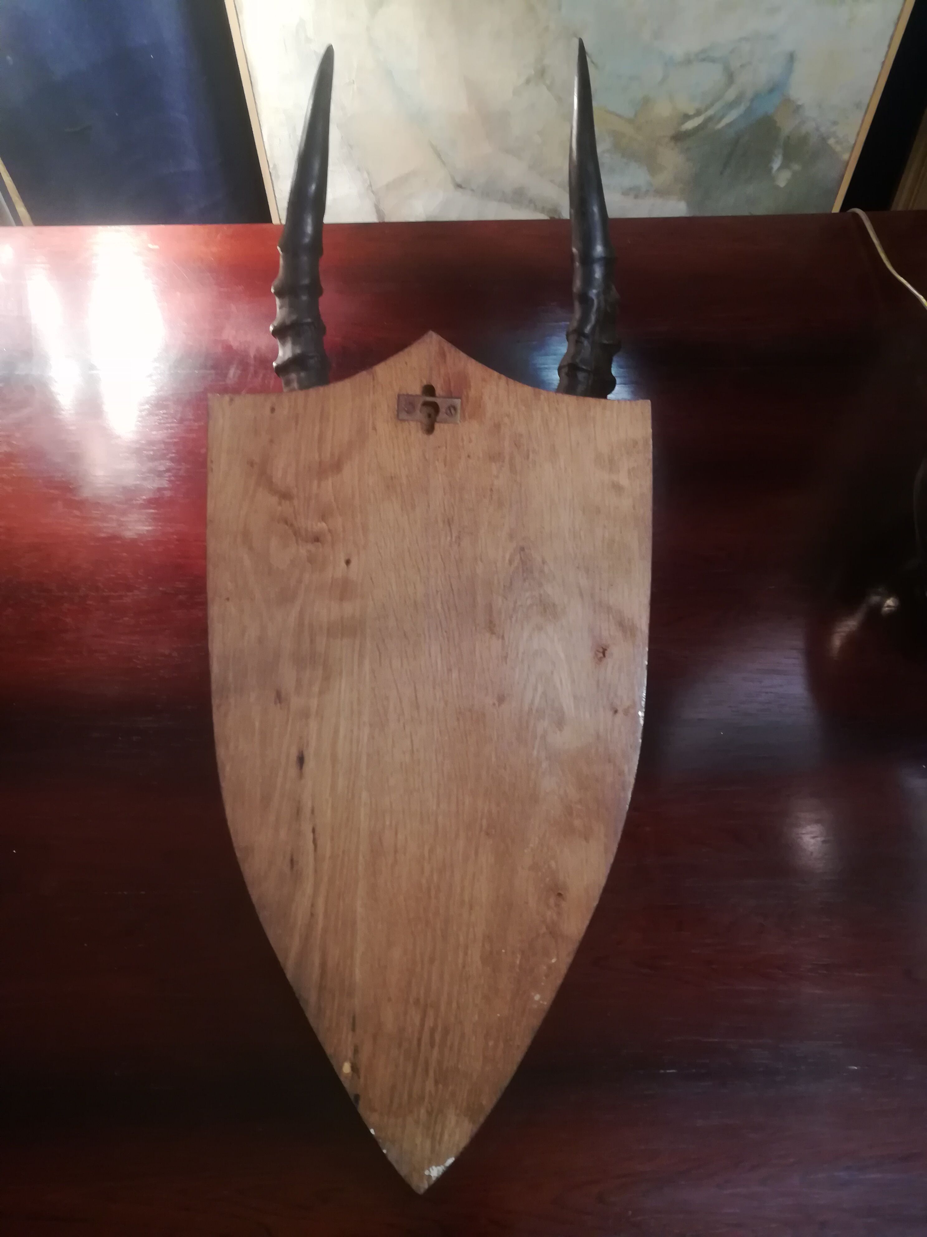 Antelope trophy massacre