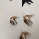 Batch of ceramic swallows
