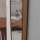 Shield-Shaped Mirror with Brass Frame, 50s