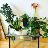 Italian serving table 60