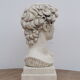 David head in waxed ivory white plaster