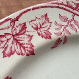 XIX old plates