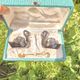 Hand-painted Porcelain Black Swan Salt Cellars Set in original box