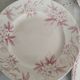 Set of 5 dinner plates in Terre de fer earthenware, red color, antique French