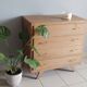 Oak chest of drawers