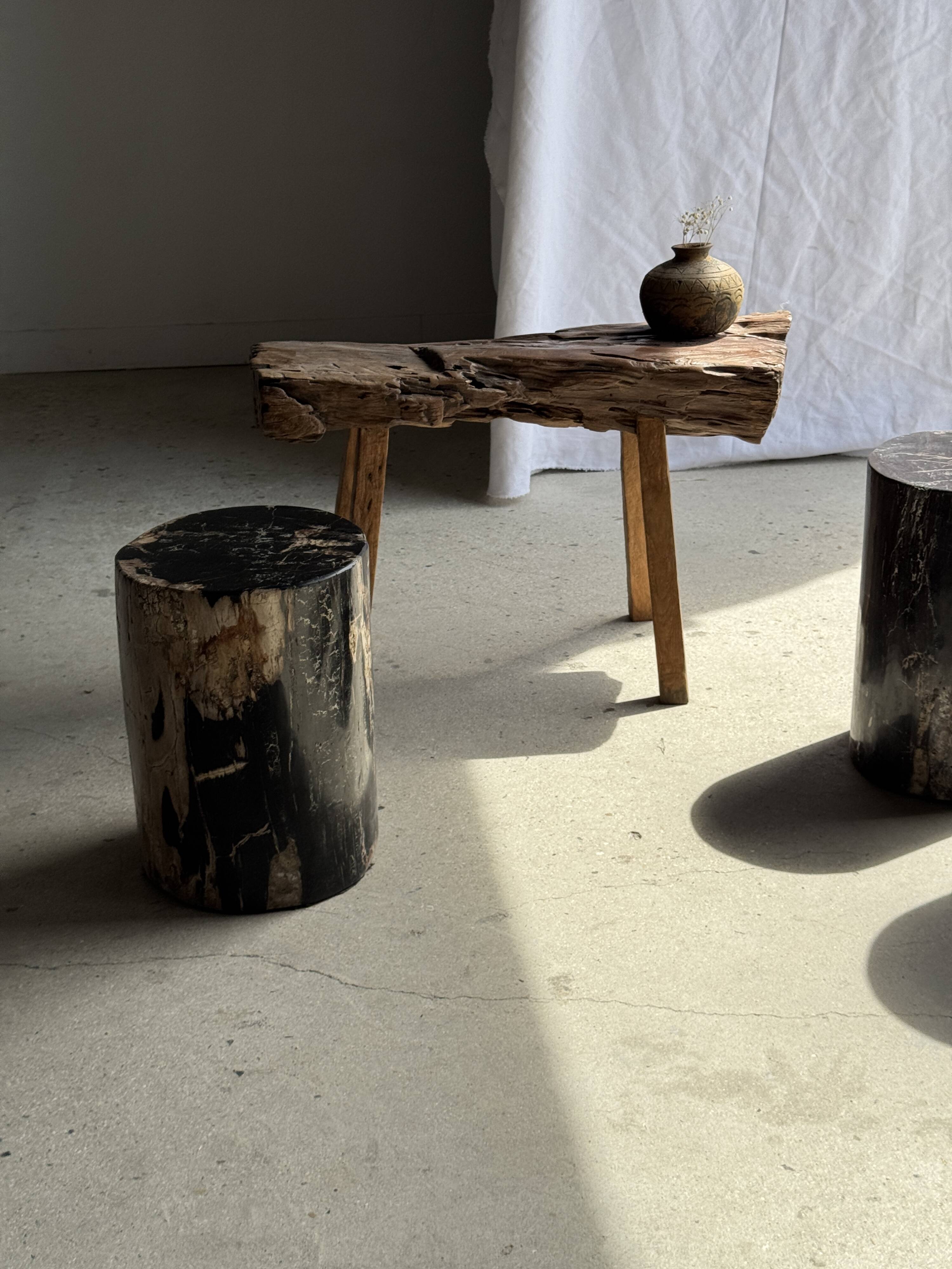 Black petrified wood side table with beige side H35 D24 - 3352