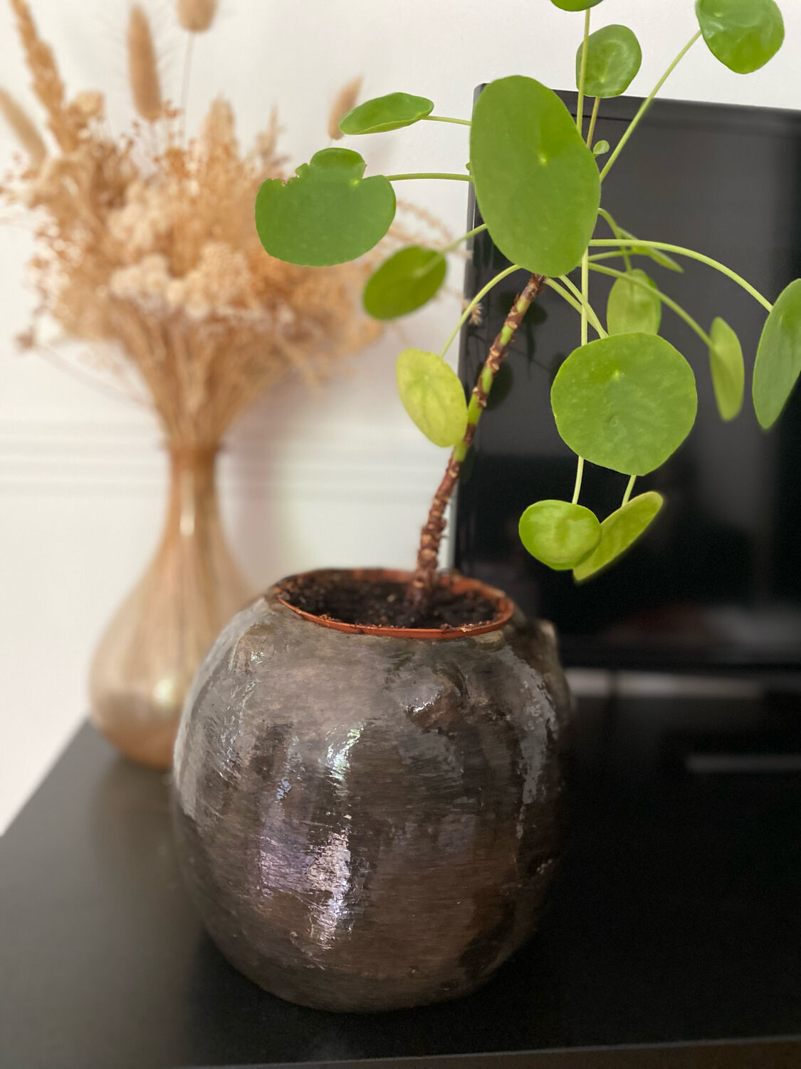 Sejnane brown vase varnished