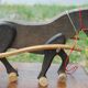 Old wooden toy Dejou. Hitch, horse and cart.