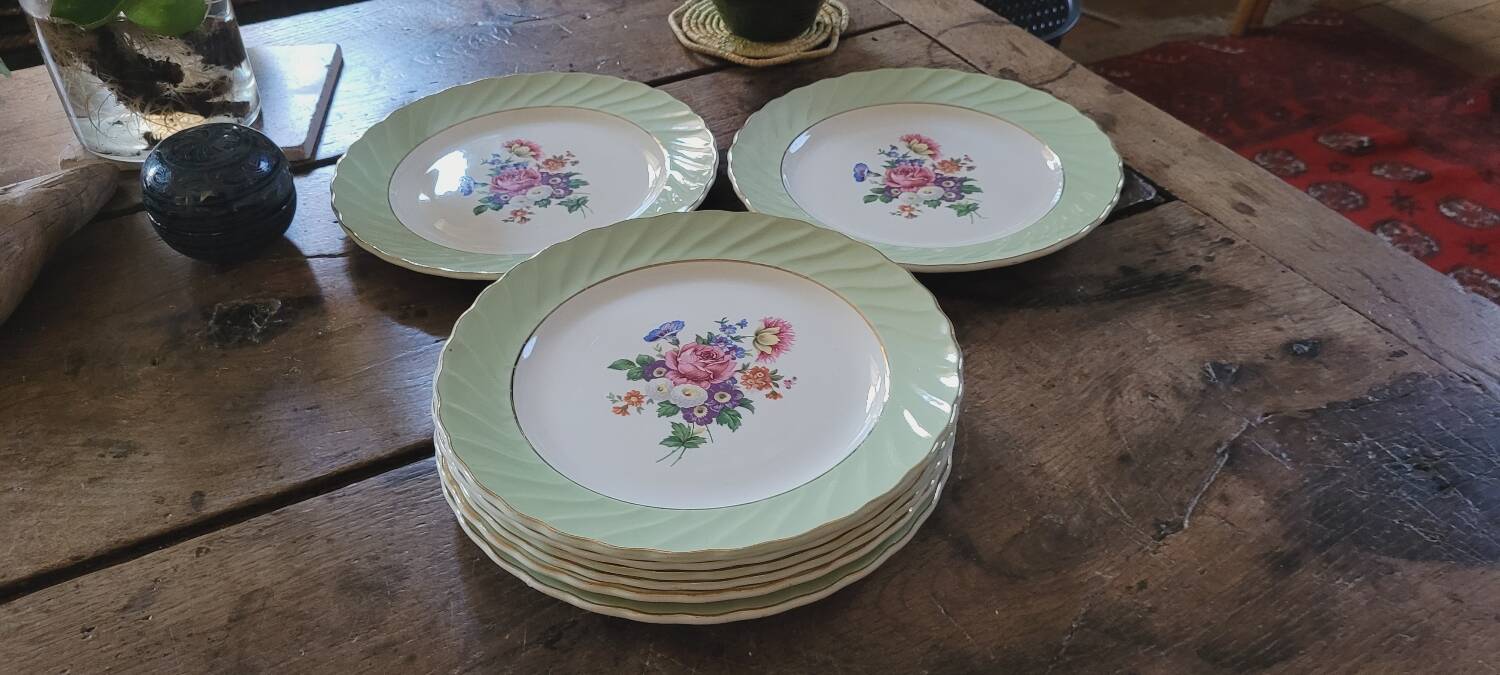 Dinner plates
