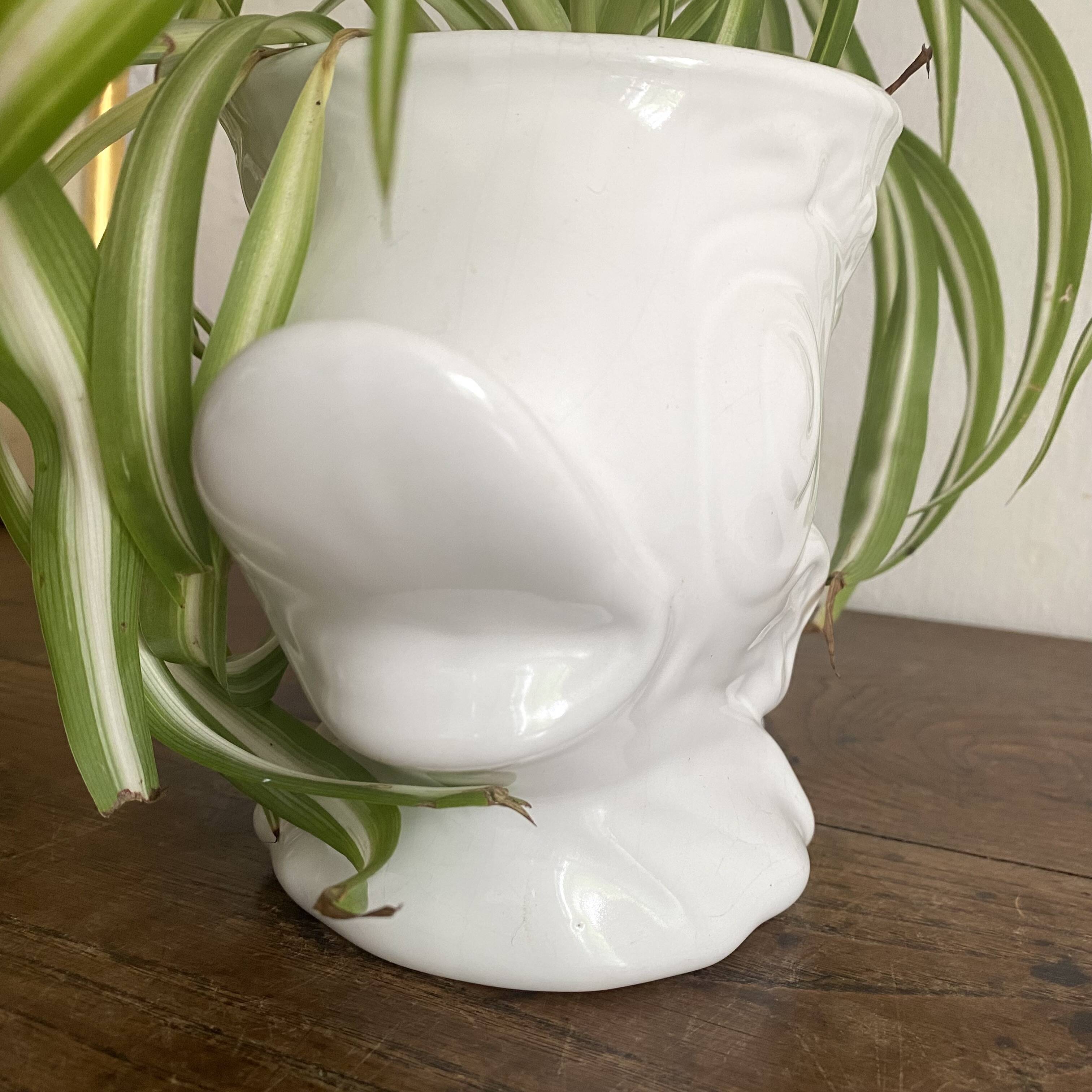 Zoomorphic fish pot cover in slip