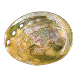 Pearly shell