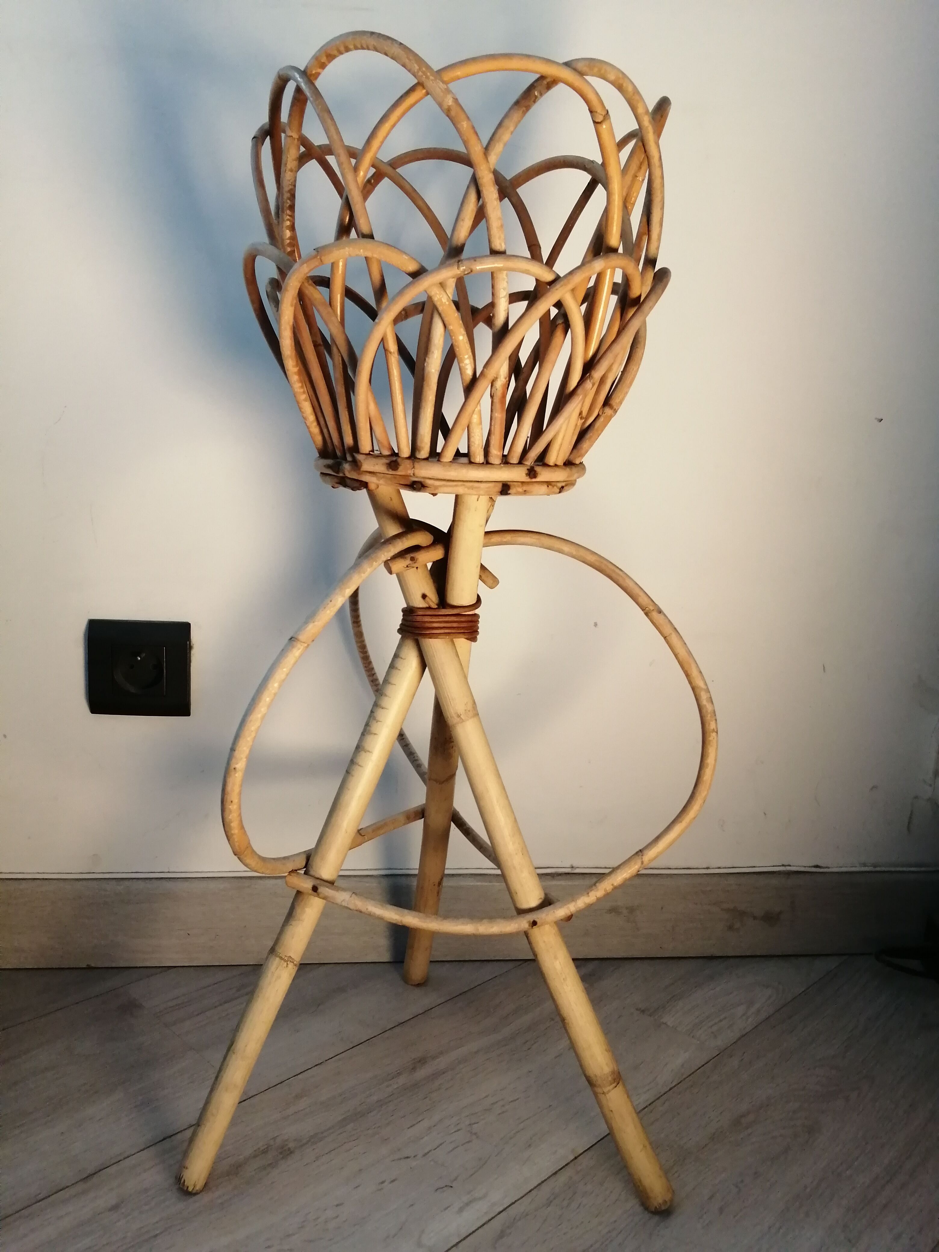 Door rattan plant 60s