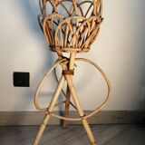 Door rattan plant 60s