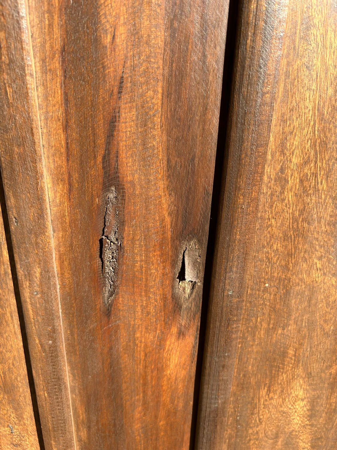 Indian Madras Armoir