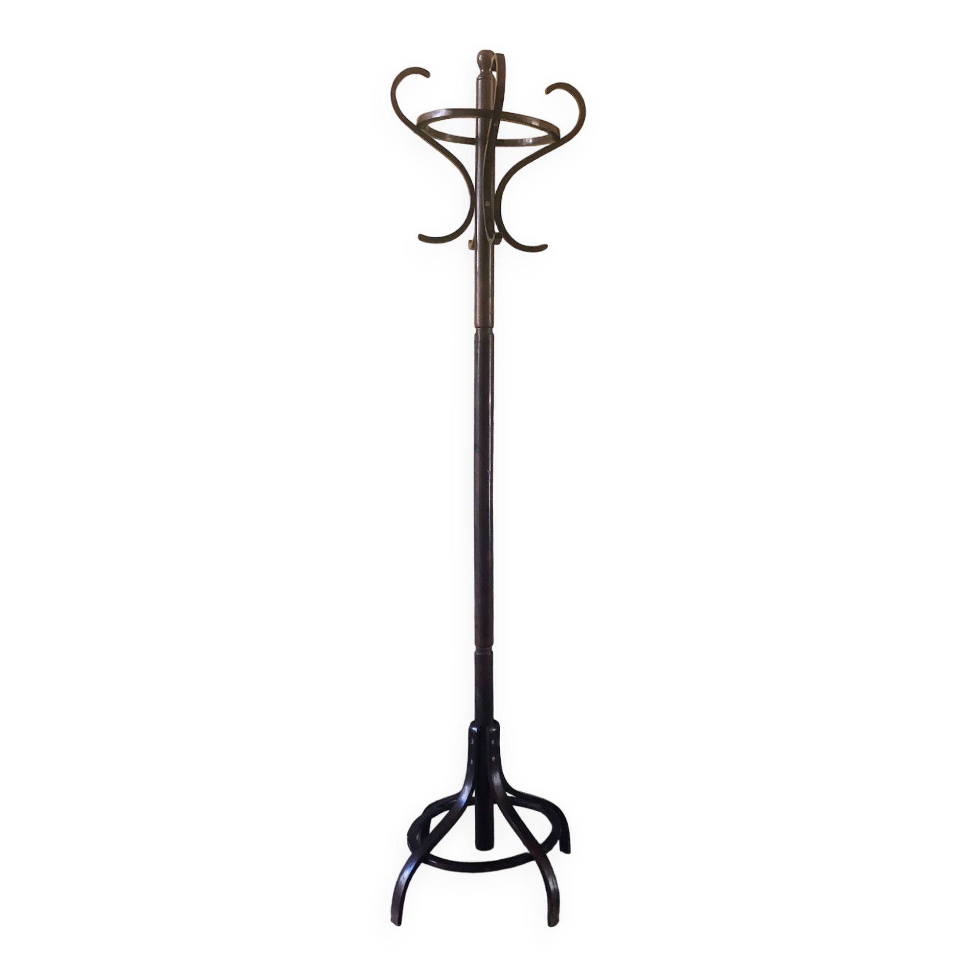 Portemanteau perroquet