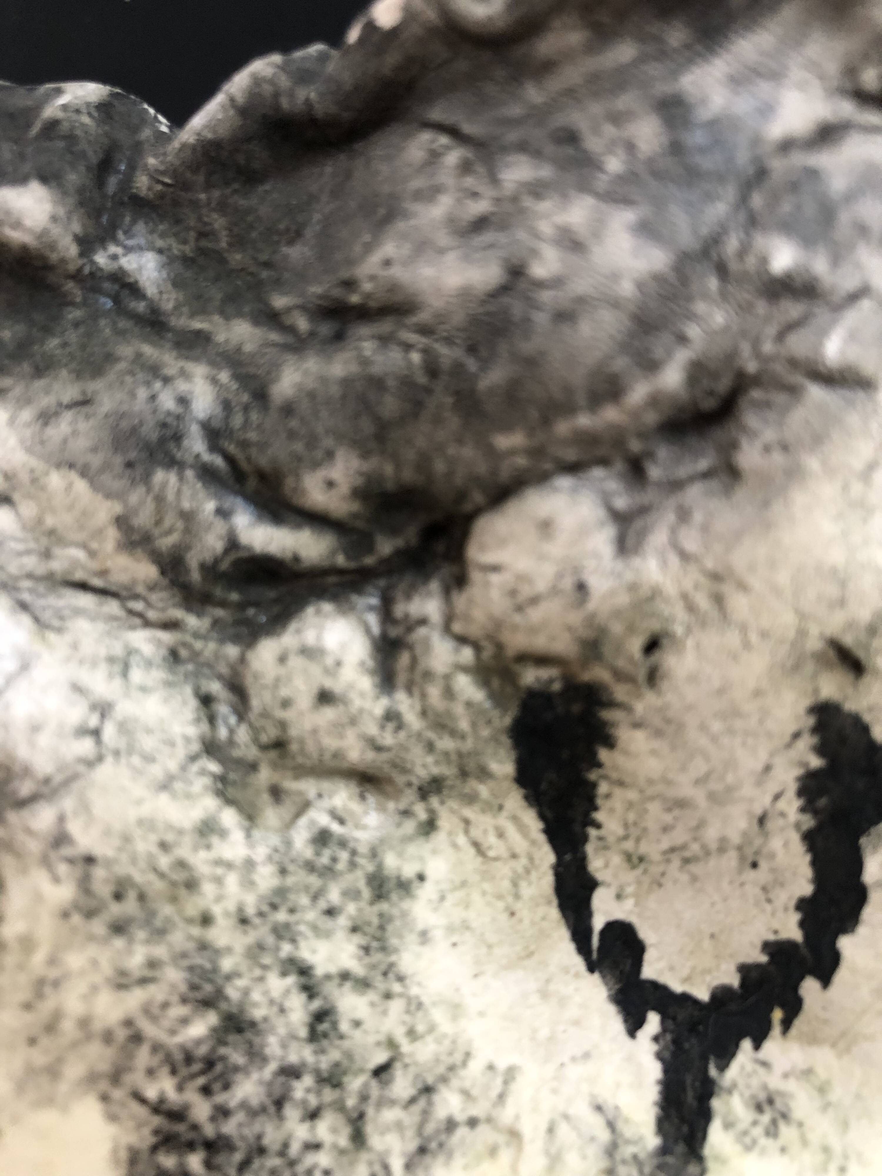 Vallauris parietal rock art