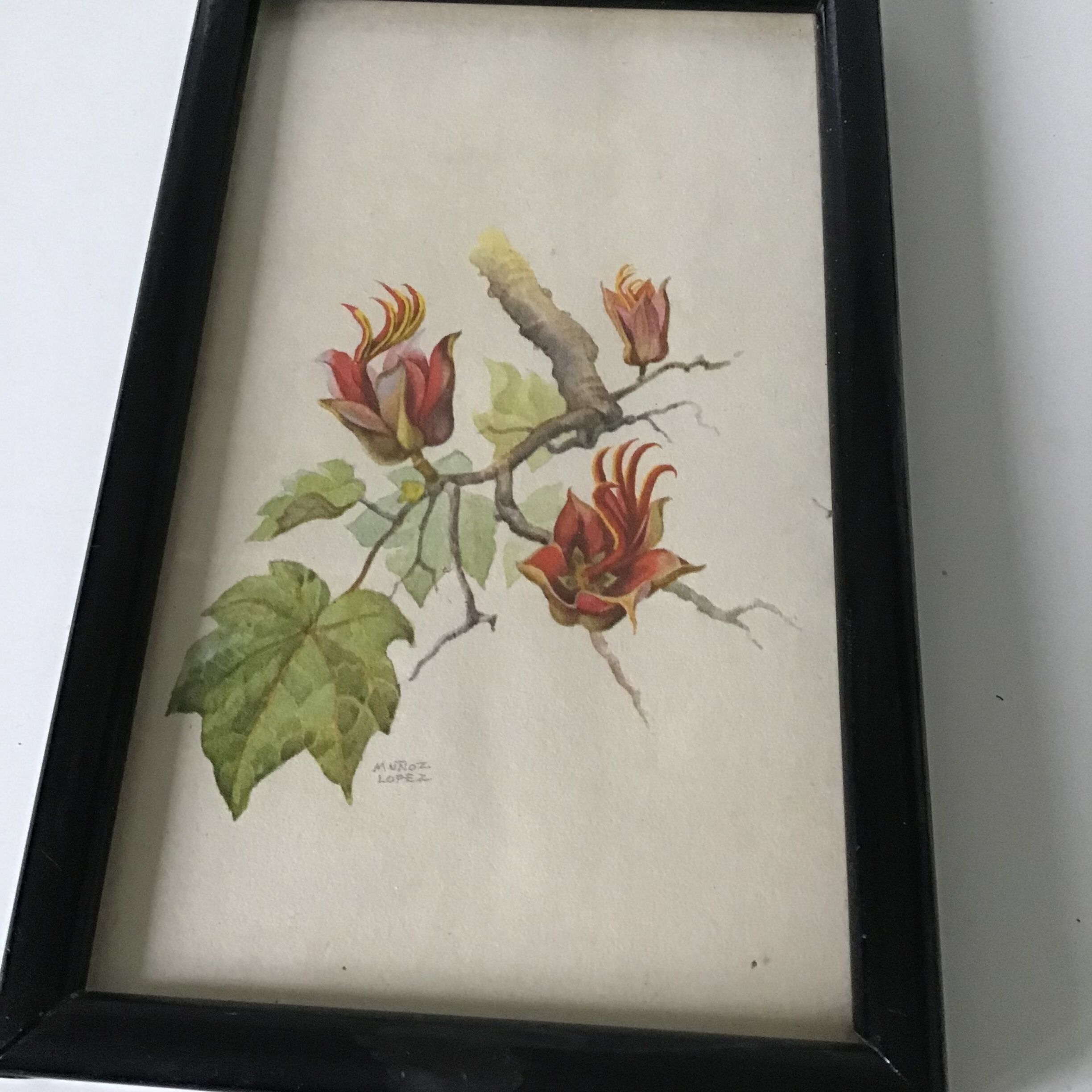 Series of small black wooden frames with an antique engraving signed with fleus. Champetres