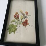 Series of small black wooden frames with an antique engraving signed with fleus. Champetres