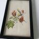 Series of small black wooden frames with an antique engraving signed with fleus. Champetres
