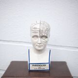 Porcelain bust, Fowler phrenology head, cabinet of curiosities, collection