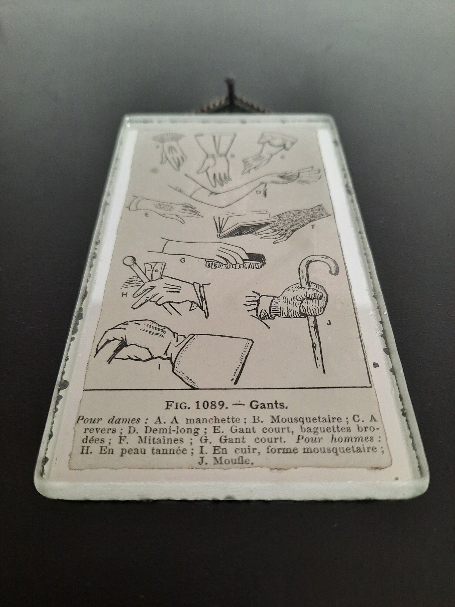 Ancient illustration of "gloves" taken from dictionary and inserted under mirror. Curiosity Cabinet