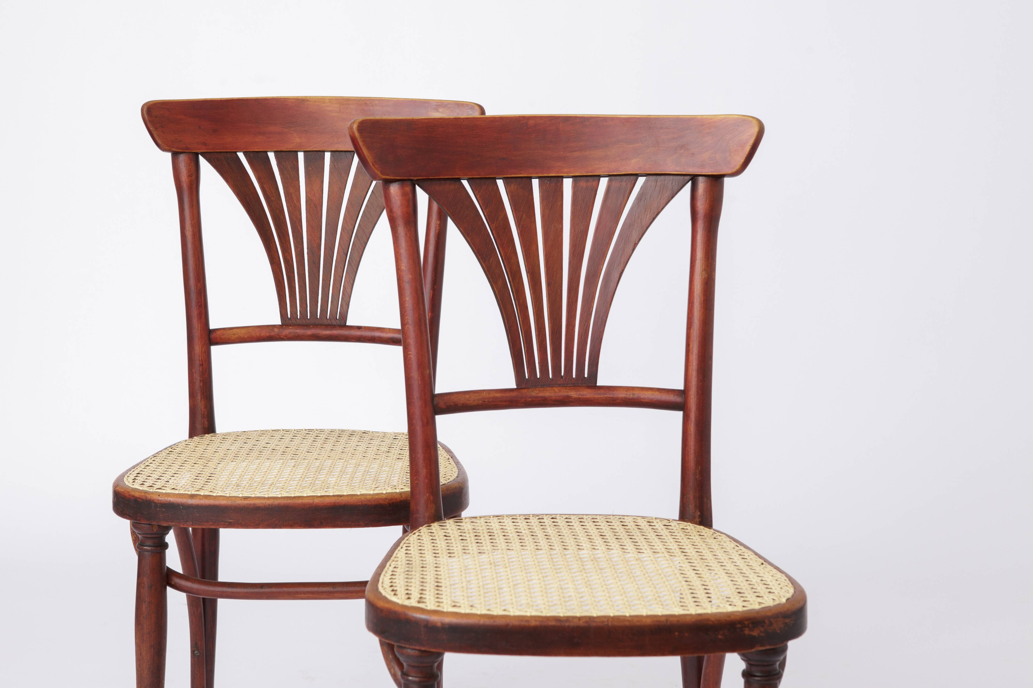 Set of 4 Restored Viennese Café Chairs – Early 20th Century, Hand-Caned Sea