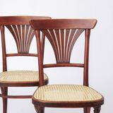 4 chaises de café viennoises en bois et cannage, restaurées, début du XXe siècle