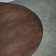 1920s Czech Art Deco Oval Beech Side Table with Lower Shelf