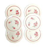 6 flat plates St-Amand Ceranord