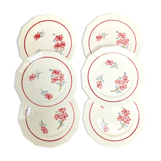 6 assiettes plates St-Amand Ceranord