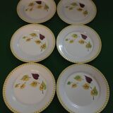 Set of 6 flat plates sarreguemines digoin