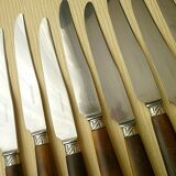 Set of 12 pretty Apollonox Horn bovine and stainless steel table knives