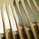 Coffret de 12 jolis couteaux de table Apollonox Corne Bovine et Inox