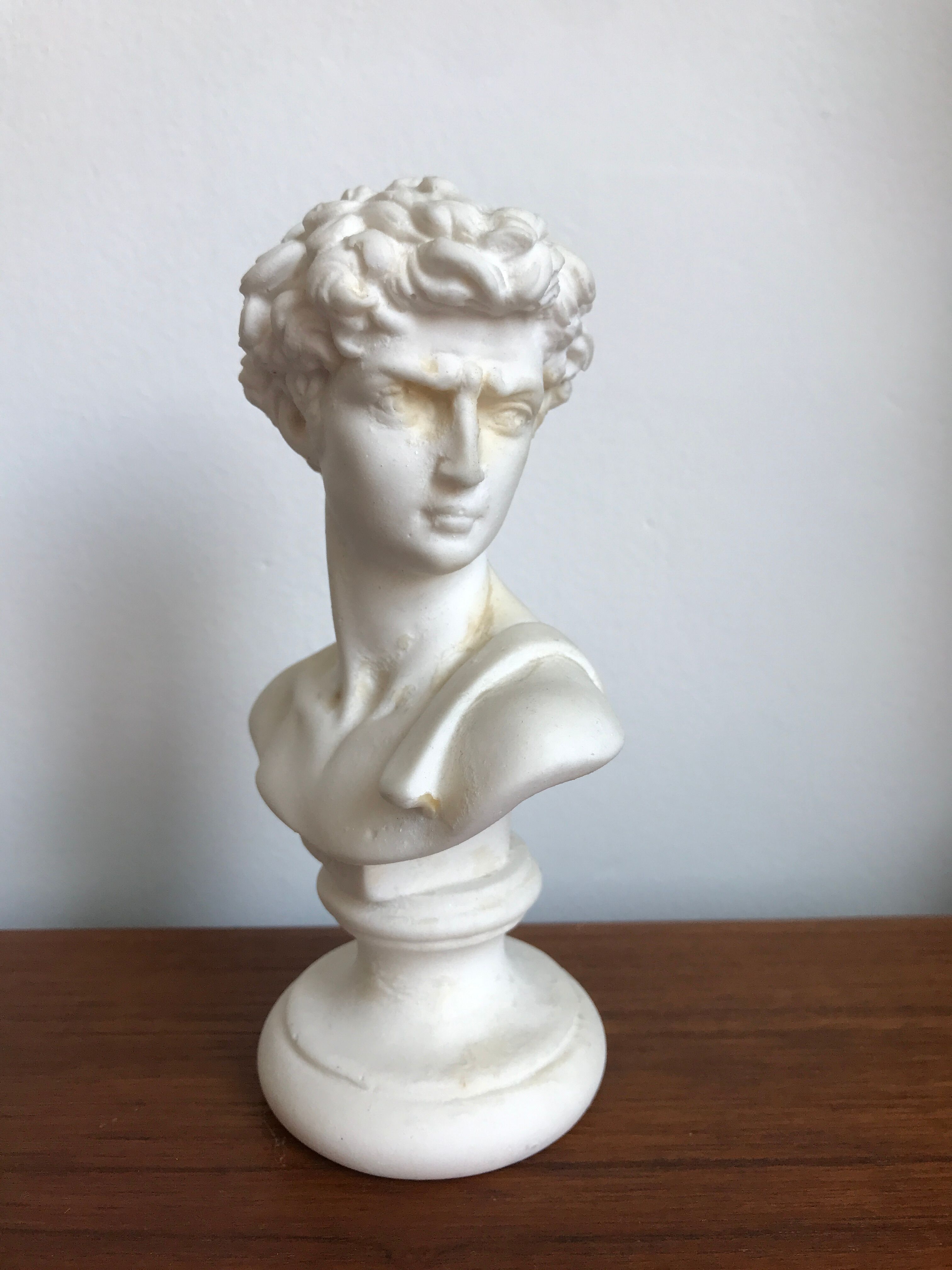 Bust David in stone