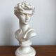Bust David in stone