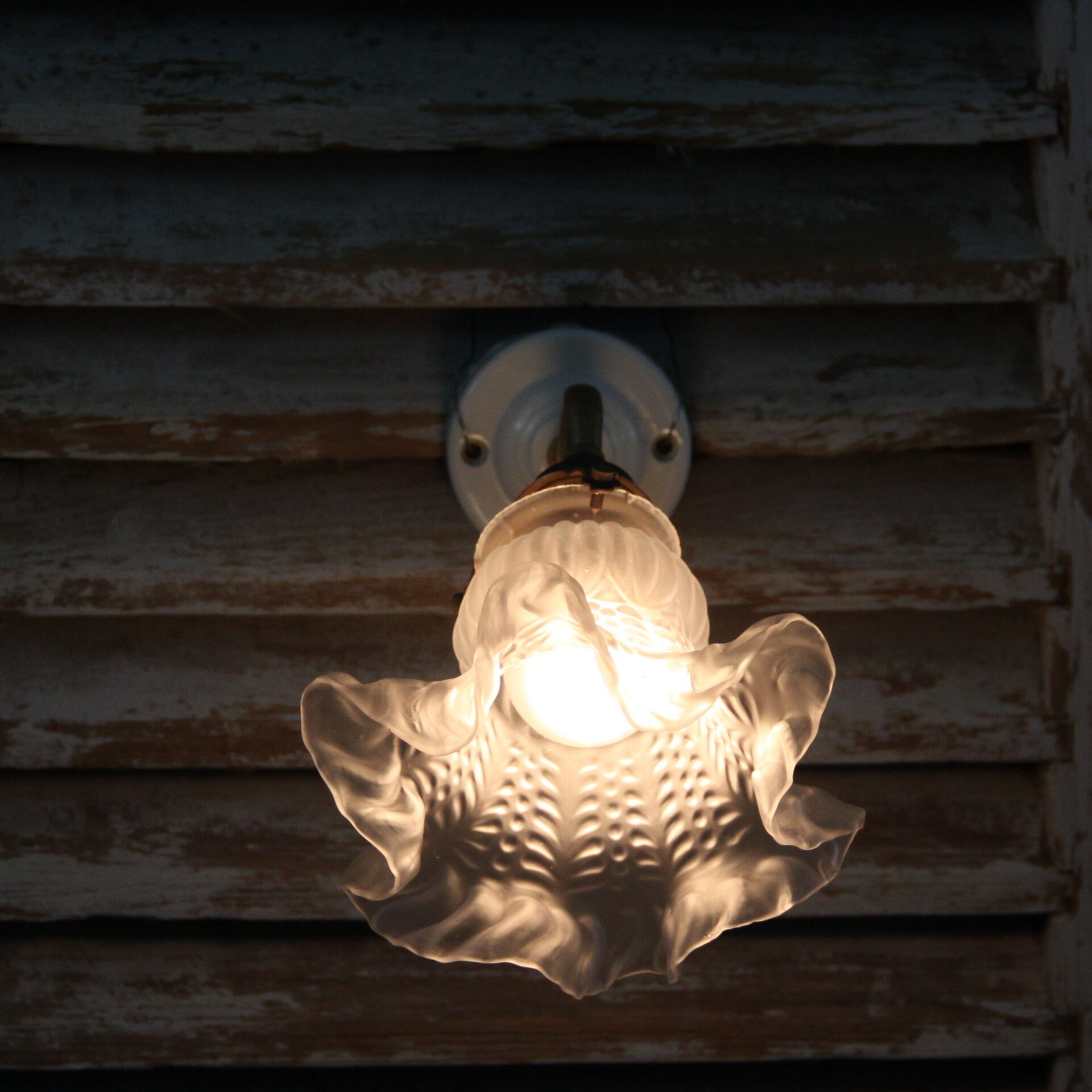 Apply wall light ancient brass porcelain Tulip glass Swan neck