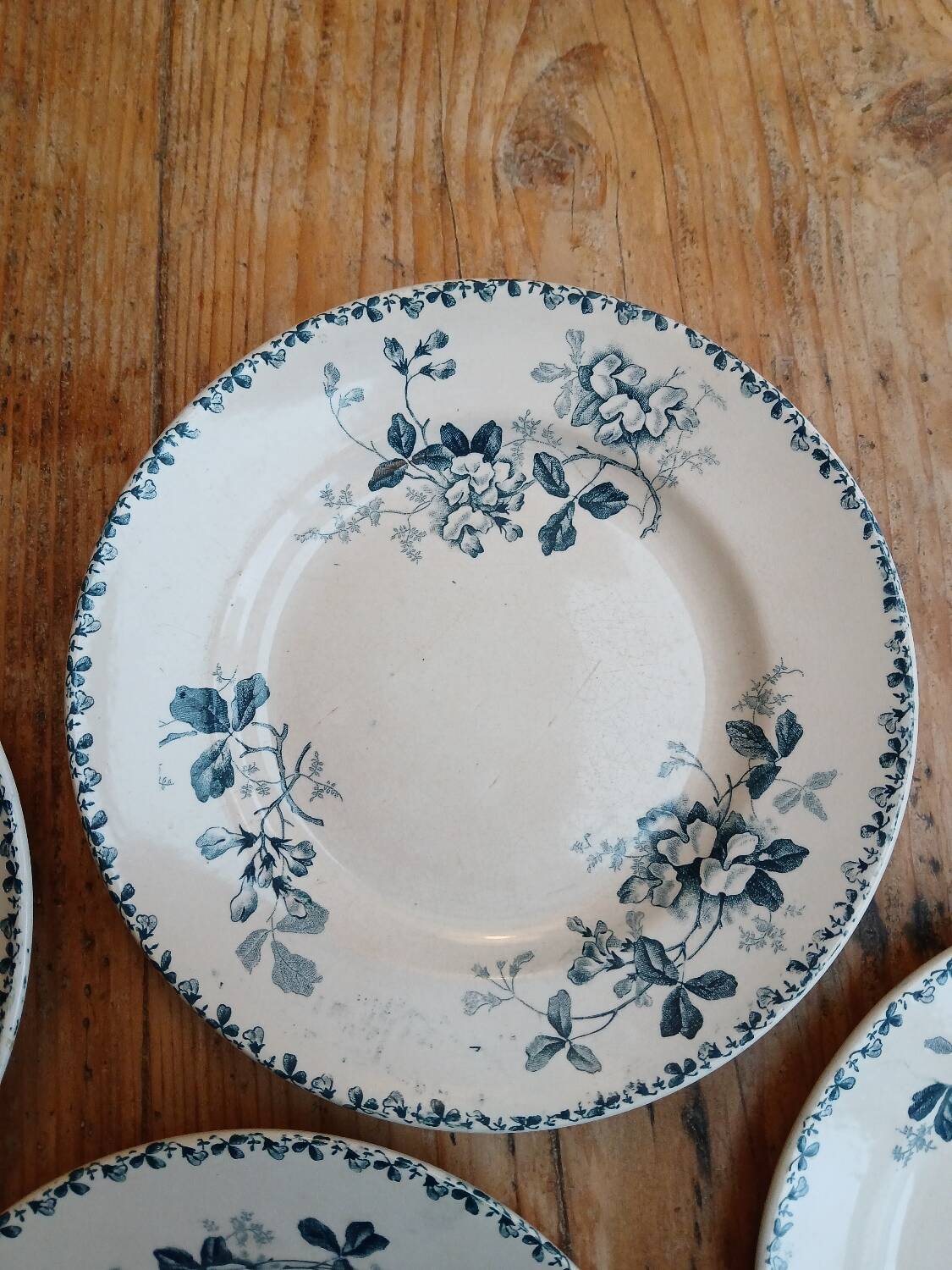 Set of 6 Terre de Fer plates, Acacia model