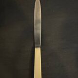 Set of 12 ivory-handled knives in its case
