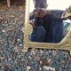 Art Nouveau mirror in gilded brass with a woman figure emerging from a vintage frame