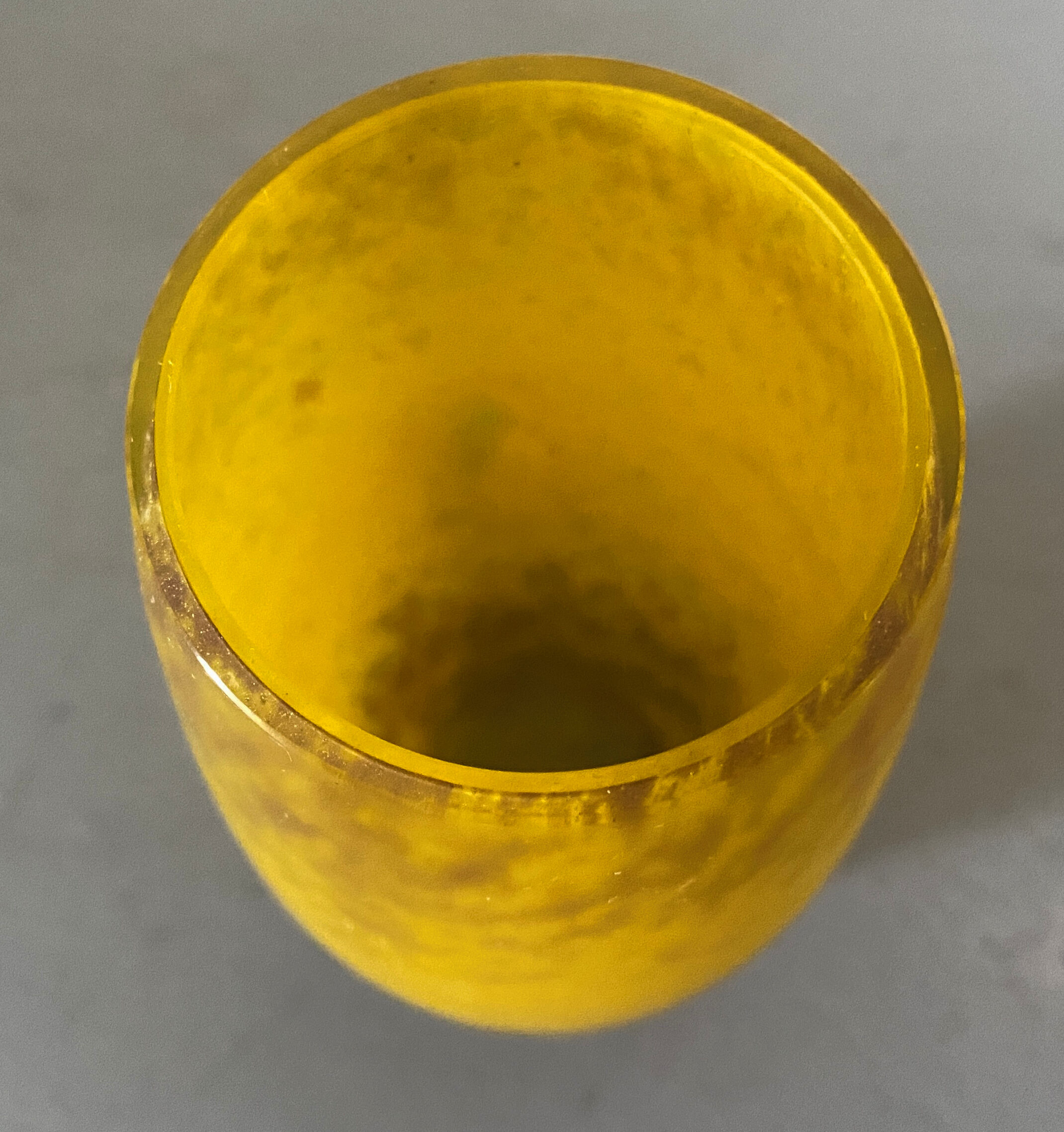 Vase in glass paste by Delatte