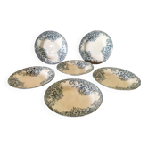 Assiettes creuses en terre de fer Narcisses Saint Amand