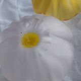 Pair of crystal flower bowls, Daum