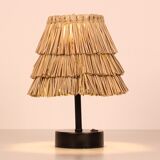Solar desk lamp