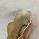 3-piece earthenware garniture - Delphin Massier Vallauris - Tu decoration